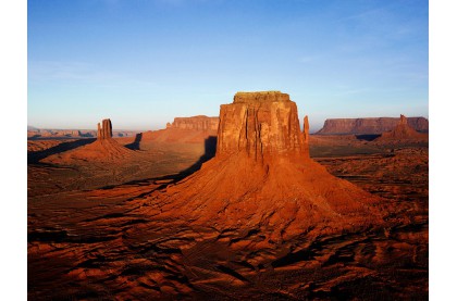 Сварная сетка